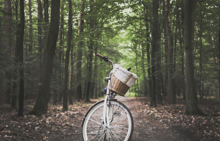 6 Biking Tours That Are Perfect for Fall