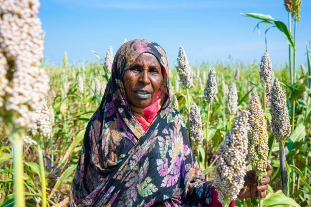 sudan-is-starving-and-25-million-people-face-famine-green-prophet