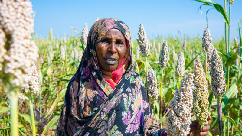 Sudan is starving and 25 million people face famine