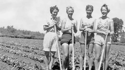 Farmerettes, Ontario Farmerettes, Canadian Farmerettes, World War II Canada, women in wartime, Canadian farming history, Bonnie Sitter, Onion Skins and Peach Fuzz, We Lend a Hand documentary, Ontario farms, teenage farm workers, Farm Service Force, women in agriculture, Canadian history, Second World War, rural Ontario, food production, women's history, vintage farm photo, harvest season, Branksome Hall, Camp Winonona, Canadian National Exhibition, CNE 2026, wartime agriculture, historical documentary, Ontario heritage, Canadian women, victory food production, Green Prophet