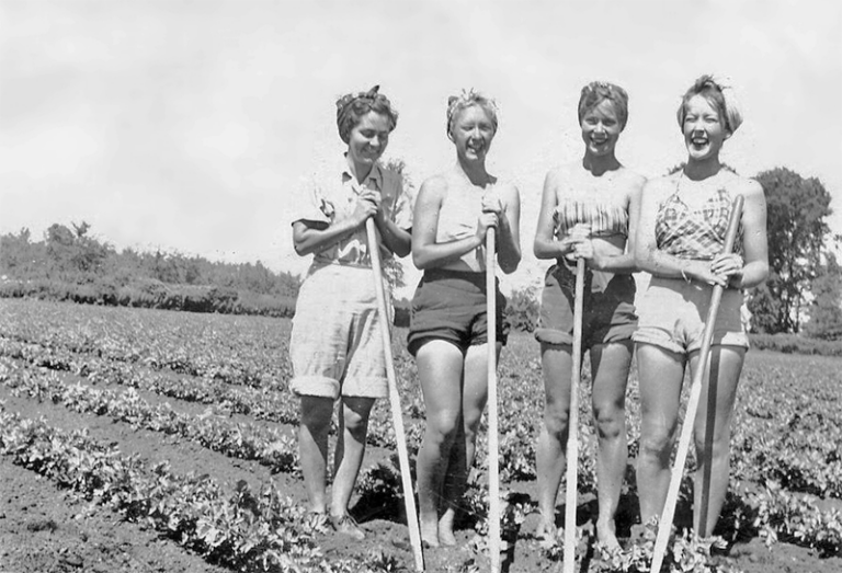 Teen Farmerettes were Canada’s answer to Victory Gardens during wartime food shortages