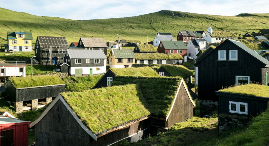 Adding Mycorrhizal fungi to green roofs