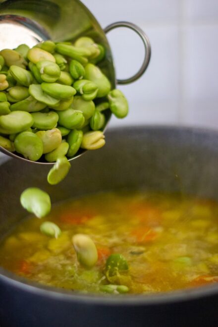 fresh fava bean soup