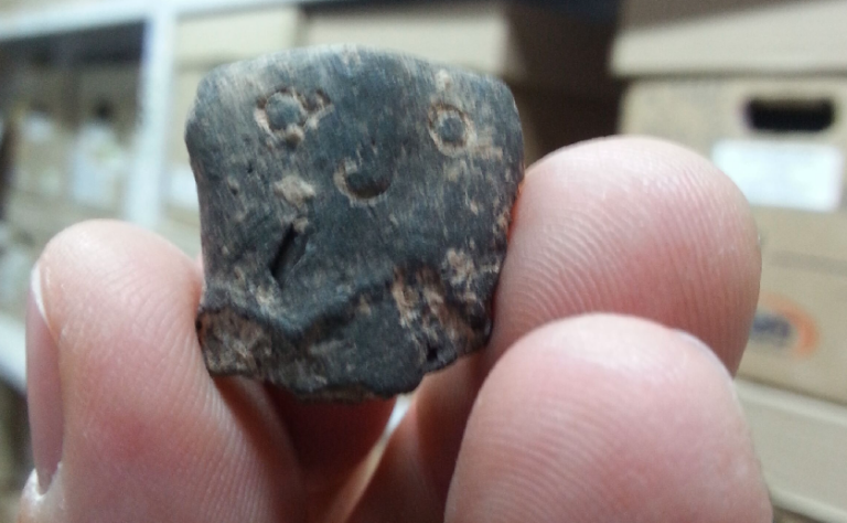 Time to settle the debate? Oldest ful and hummus beans found in Israel