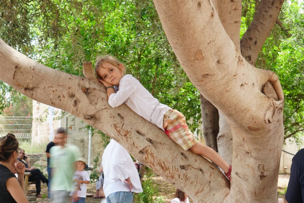 AI scientist gets full map of urban trees using Google Street View ...