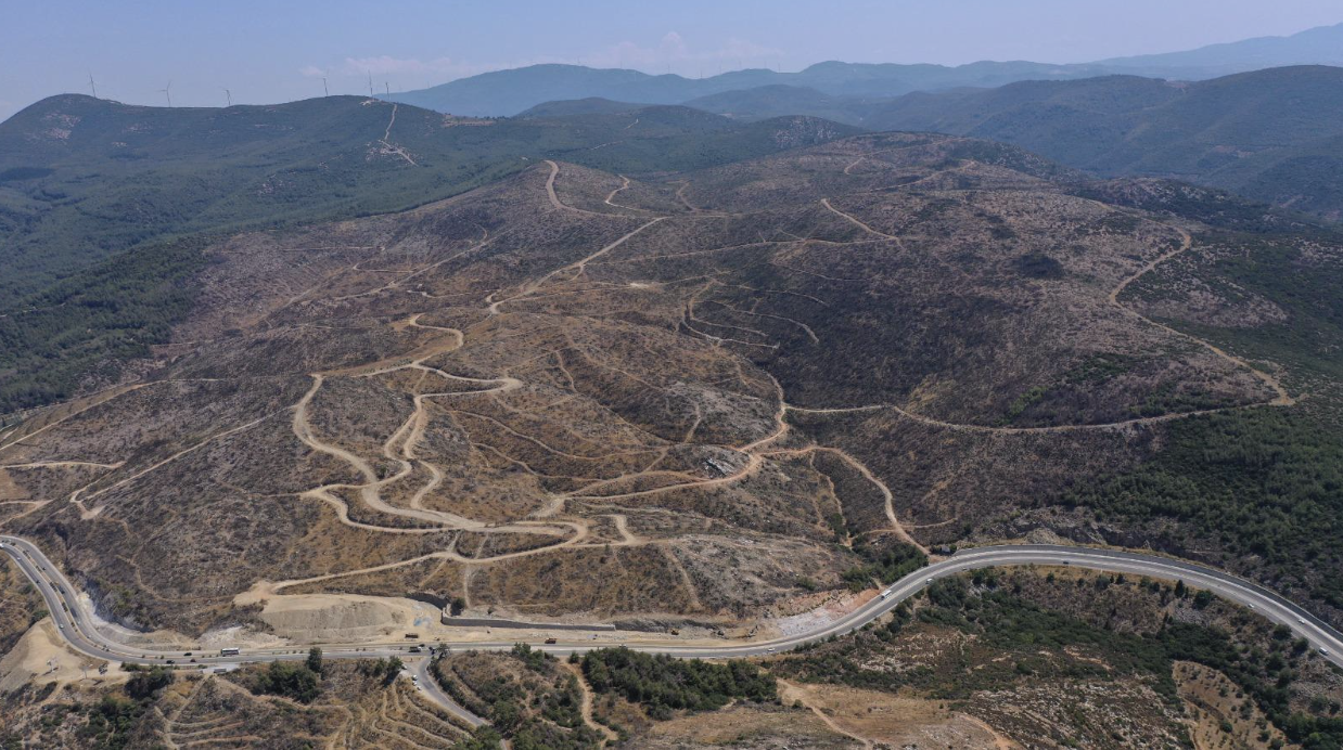 Land after the fires: My Lovely Planet play-to-restore app for ecological reforestation