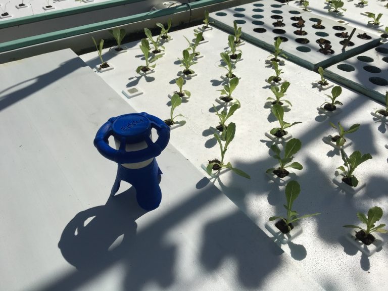 Eddy is artificial intelligence for vertical farms and hydroponics