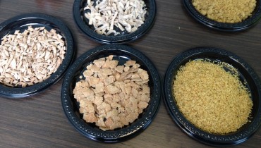 Flying Spark food-tech asks, “Do you want flies with that?”