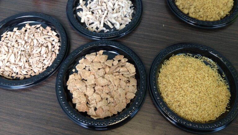 Flying Spark food-tech asks, “Do you want flies with that?”