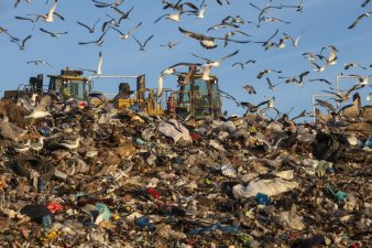 New UAE Food Bank aims for full bellies and zero waste