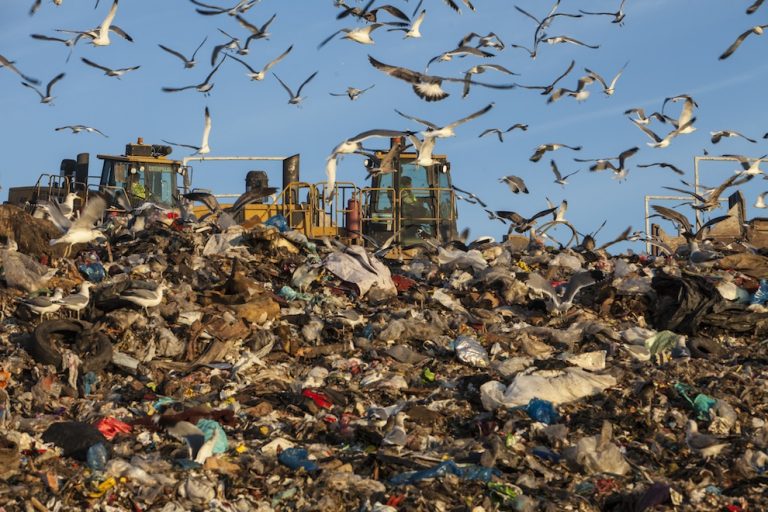 New UAE Food Bank aims for full bellies and zero waste