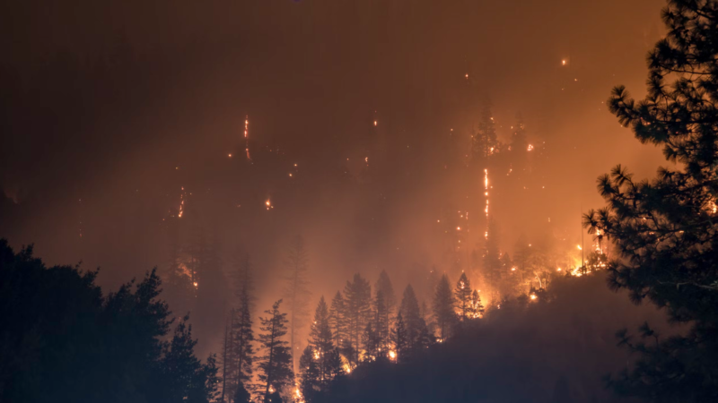 Will there be a wildfire in Canada? Our phone data can help make the prediction