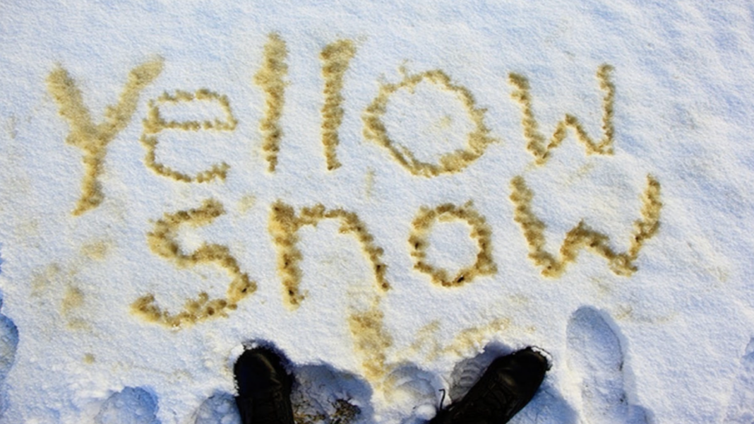 Why is pee yellow mystery solved