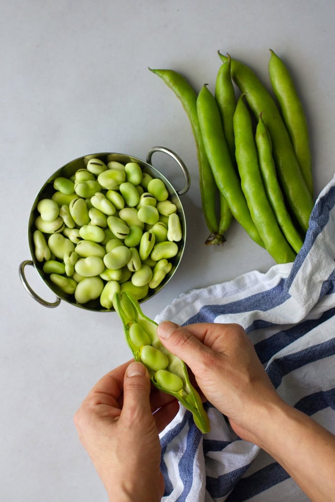Fresh fava beans and pods