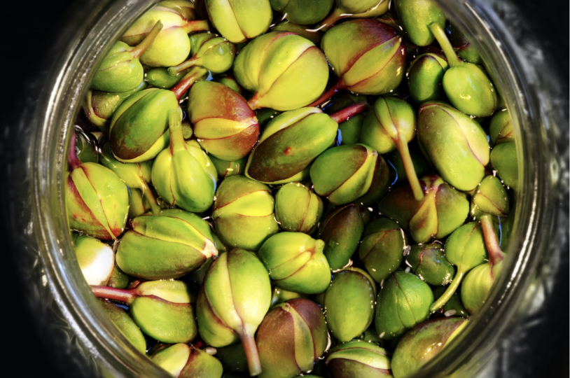 What's in season April | Green Prophet
