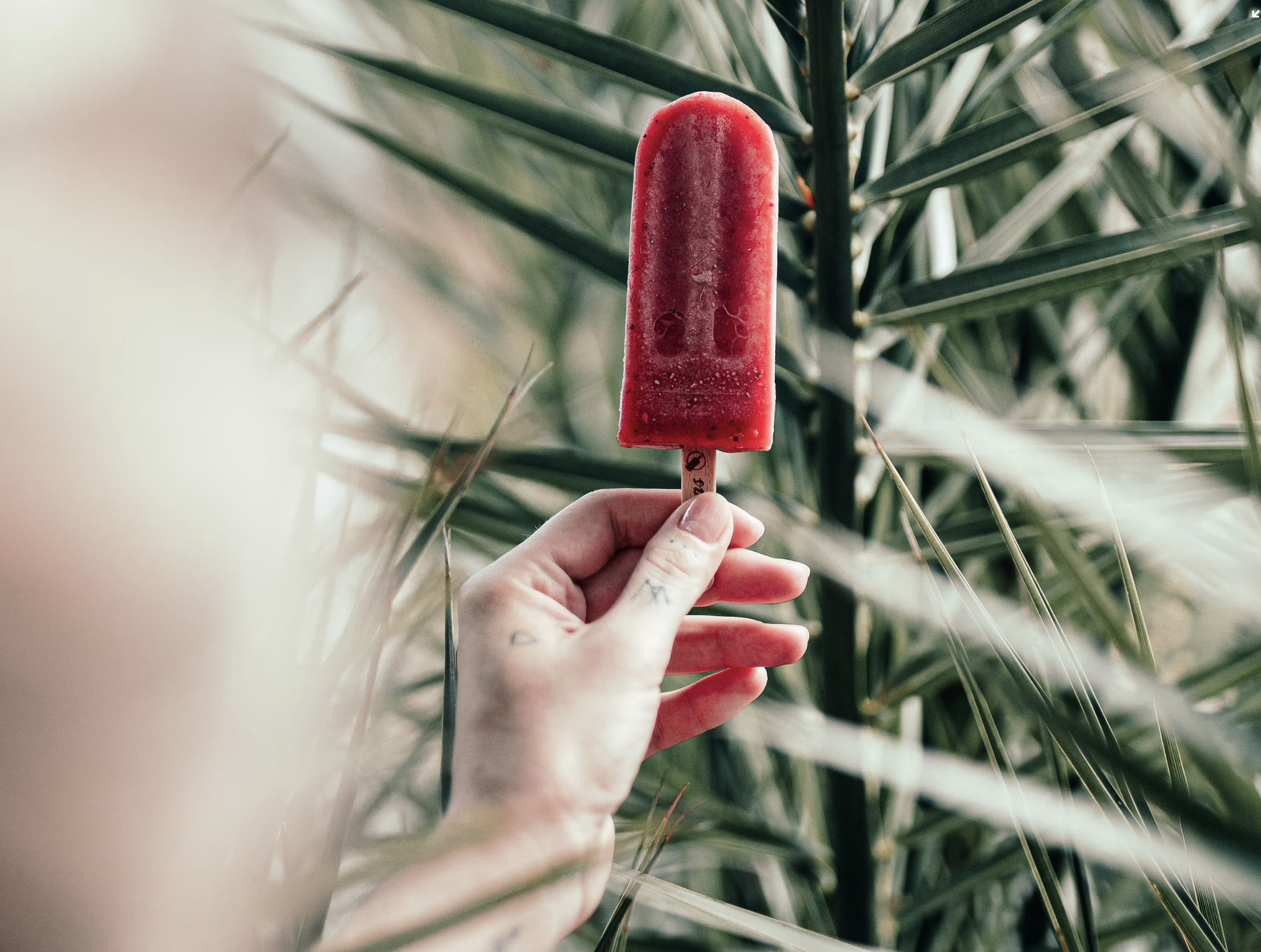 Make your own ice pops, popsicles or ice lollies