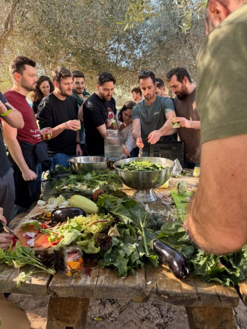 farm to table israel