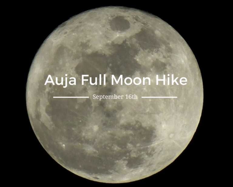 Full moon hike with consciousness about water in Auja