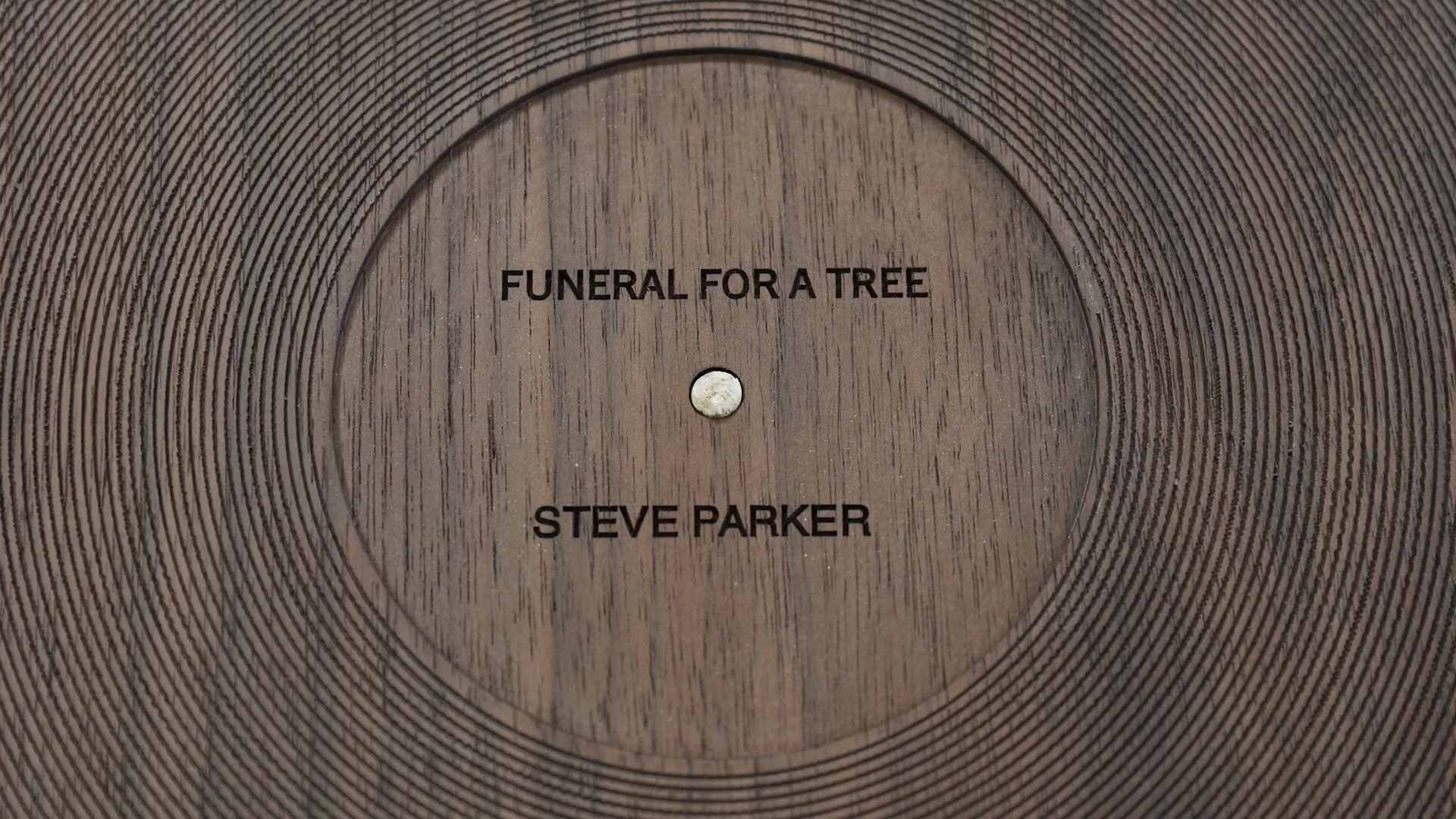 Funeral for a tree; Promotional material - Steve Parker. 