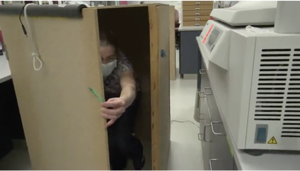 ticks humans global warming box experiment