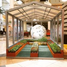 Abu Dhabi shoppers planting and painting at the mall