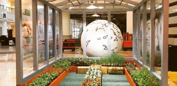 globe-al-wahda-mall-greenhouse.jpg
