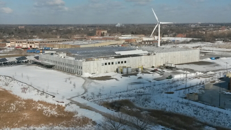 gotham-green-chicago-winter
