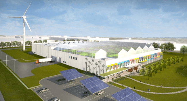 gotham-greens-hydroponics-chicago