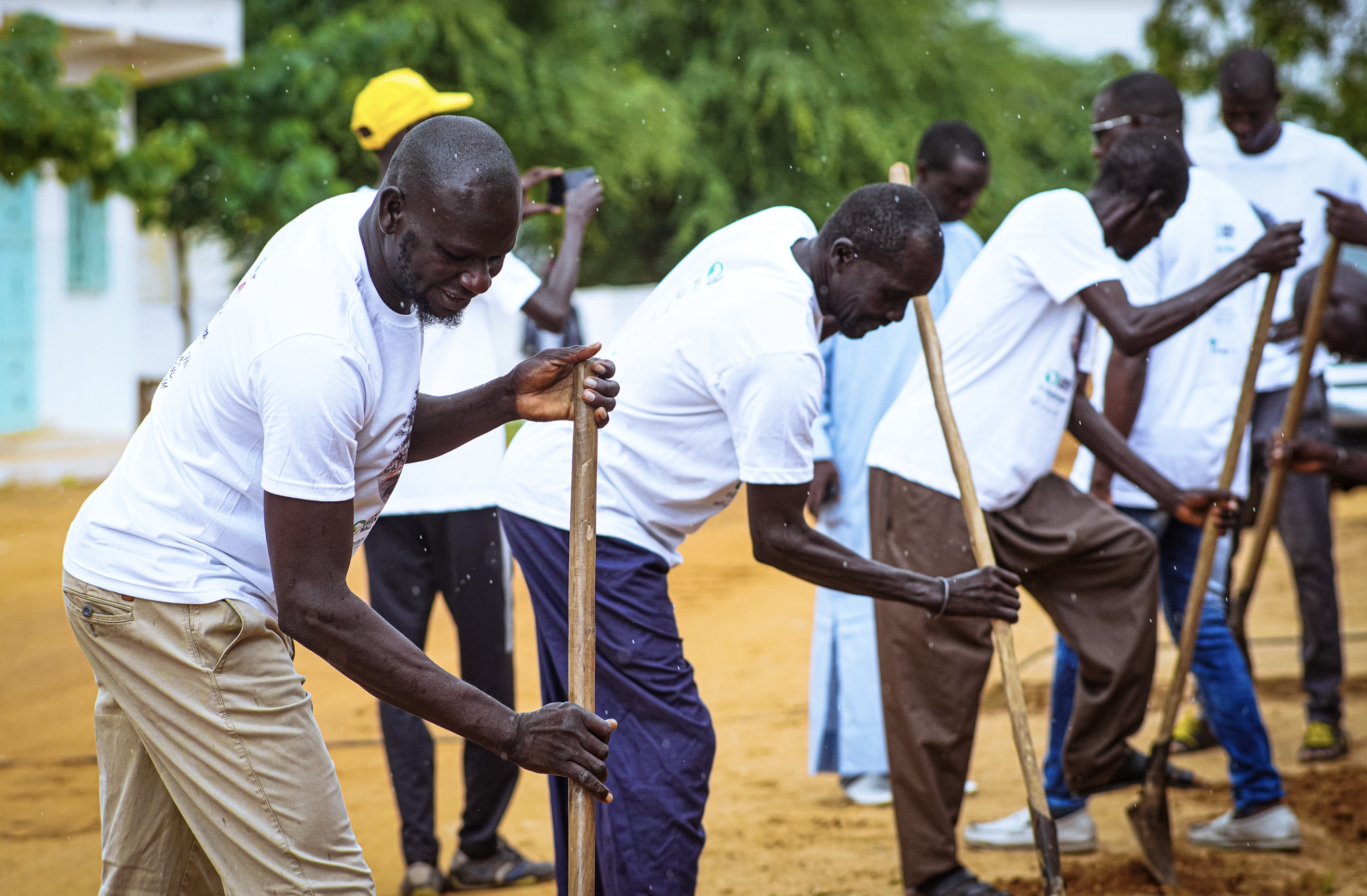 great green wall, treeplanting event, sahel, african men dig and plant trees