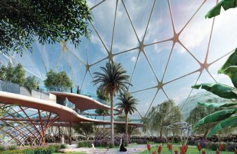 $8 million fine and 10 years jail for cutting a tree in Saudi Arabia?