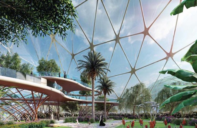 $8 million fine and 10 years jail for cutting a tree in Saudi Arabia?