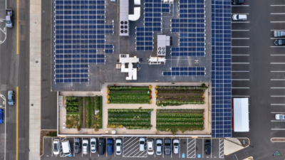Food gardens on the roofs of medical centers and hospitals