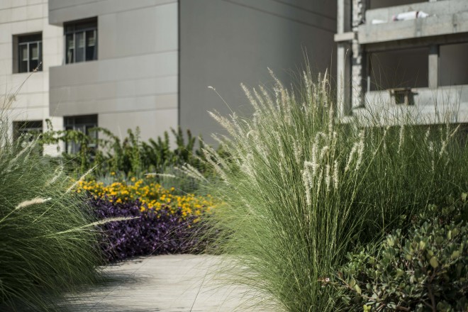 rooftop gardens Beirut