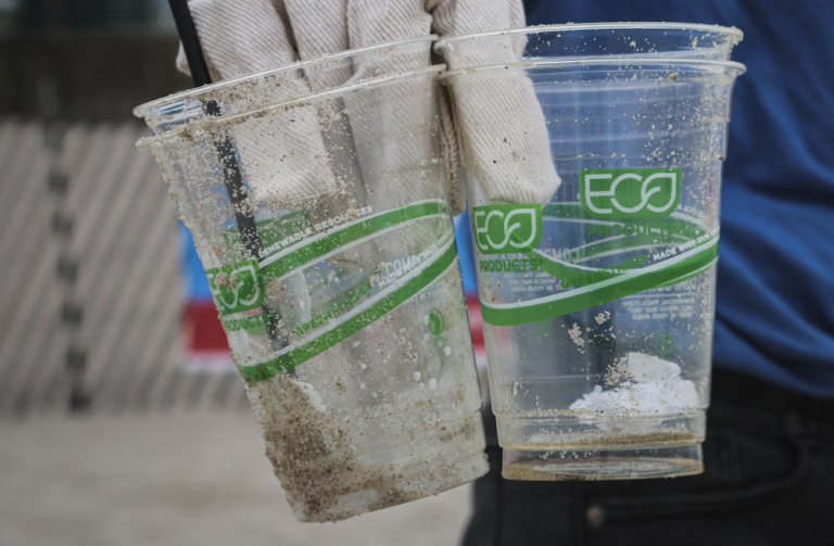 <strong>The Authenticity of Sustainability in Modern Commerce</strong>