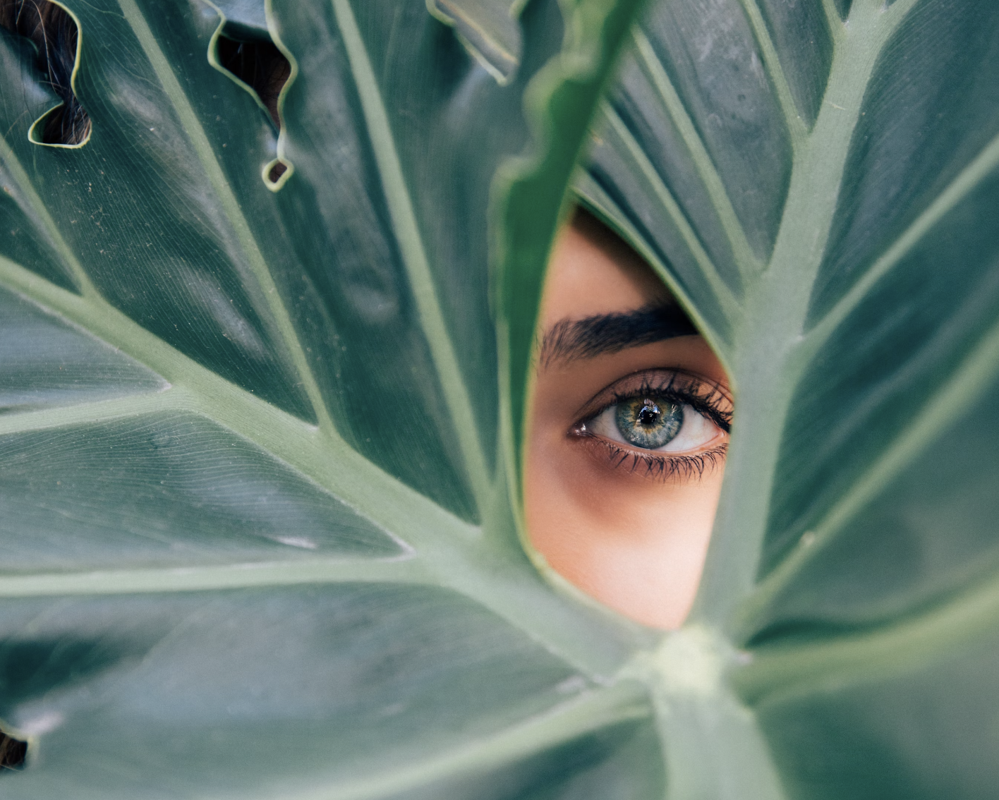 seeing through greenwashing