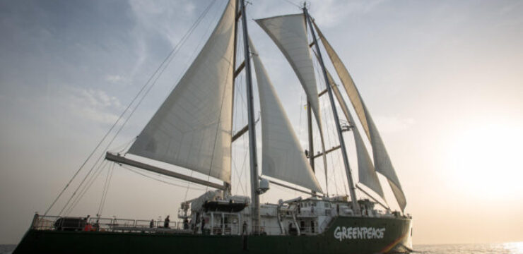 greenpeace-boat-alexandria.jpg