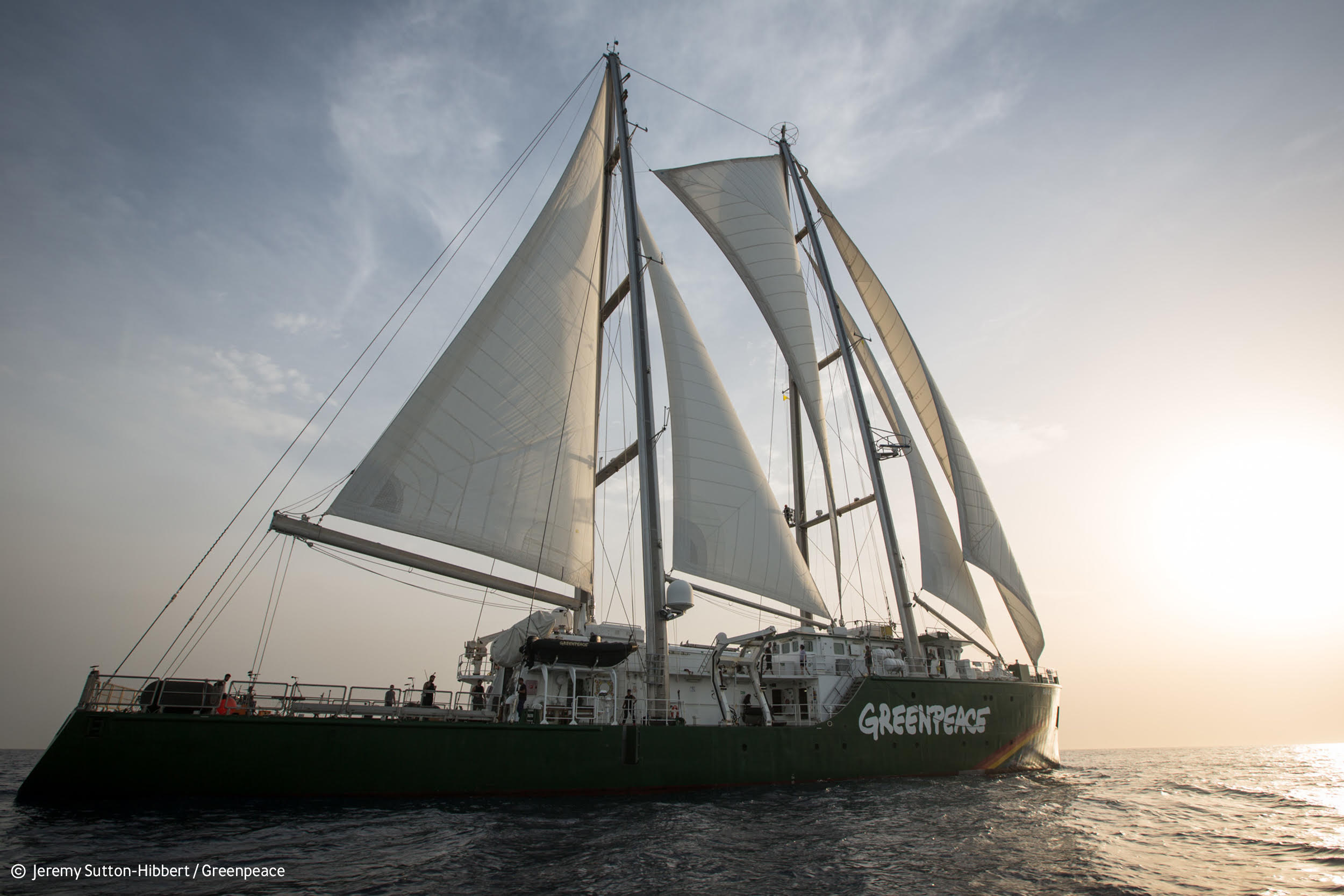 Greenpeace cop climate event sharm el sheikh