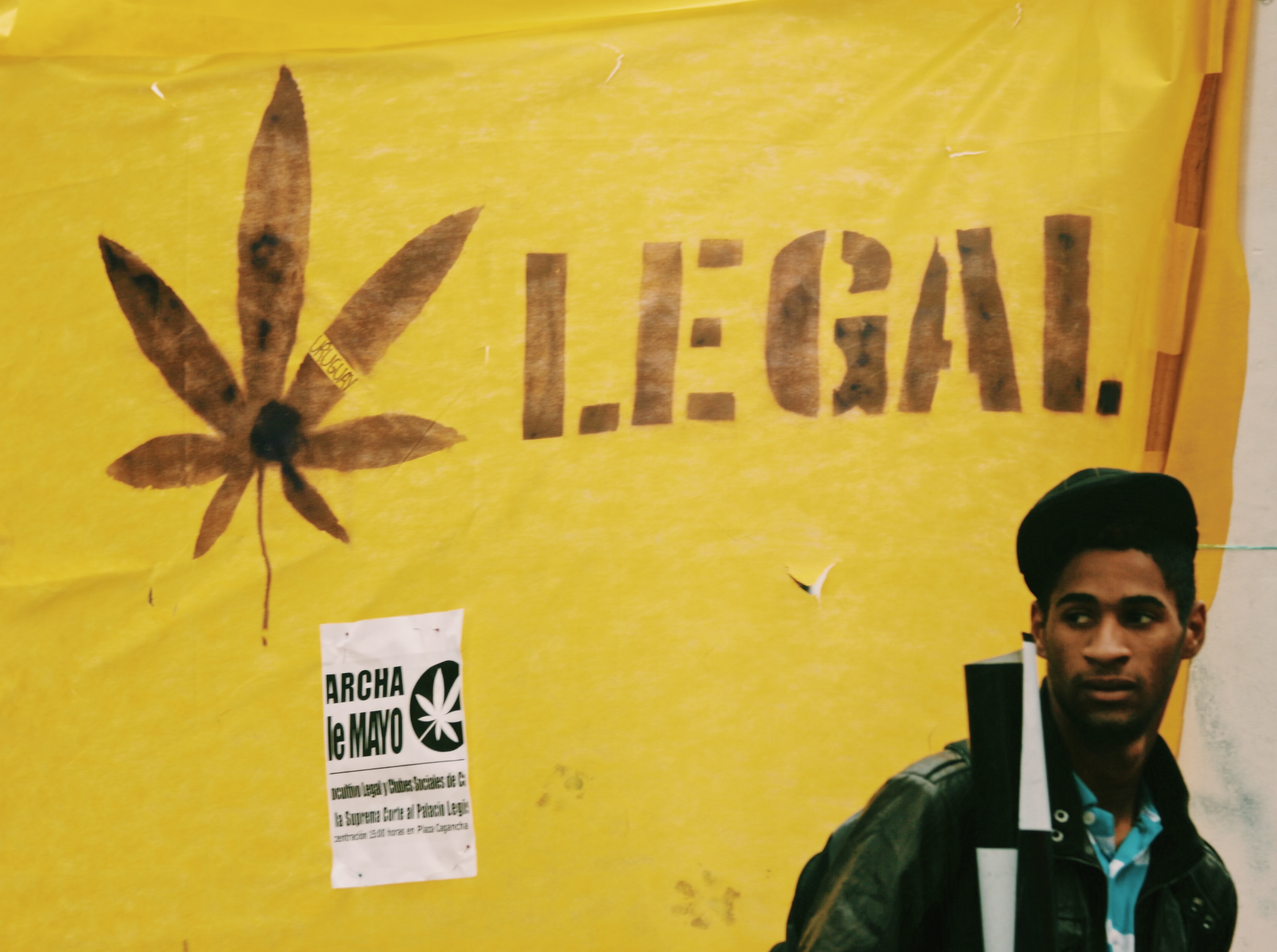 legalize cannabis sign, man in front of yellow cannabis sign