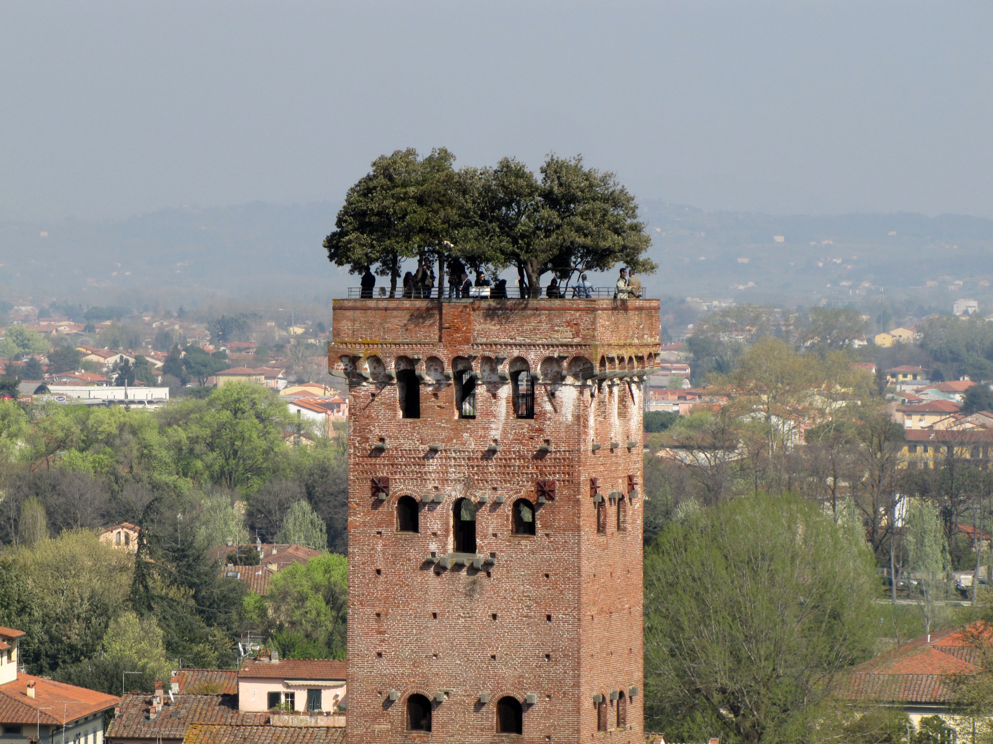 Guinigi Tower, Lucca, Italy