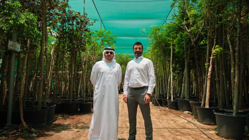 The UAE is getting a lot more local trees with expanding nursery business