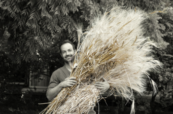 Making organic sourdough from ancient wheat he grows