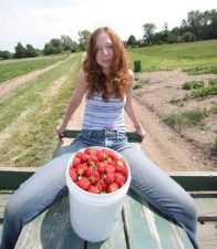Homemade Strawberry Jam Recipe