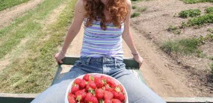 hamutal-dotan-strawberry-picking-image.jpg