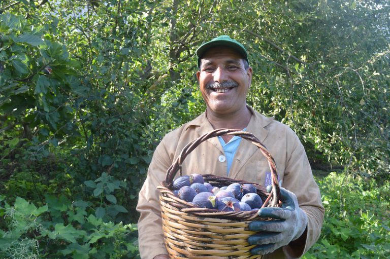 Tunisia’s lagoon farms and hanging gardens recognized as world heritage sites