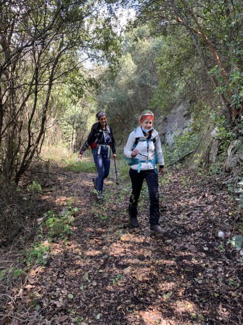 Harissa Nature Reserve hiking