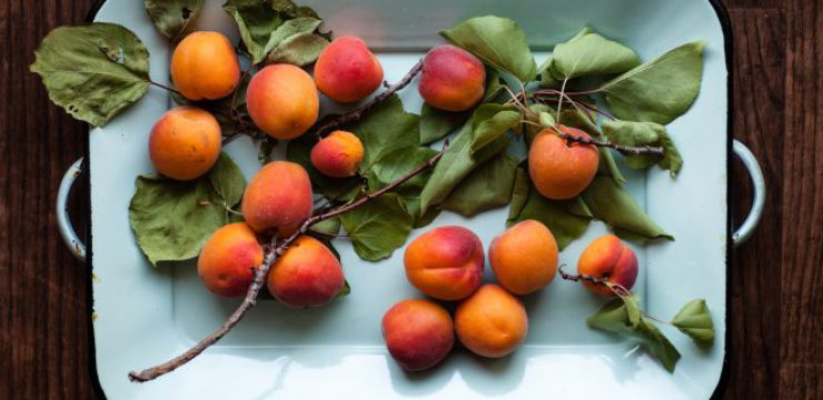 heather-gill-apricot-scaled.jpg