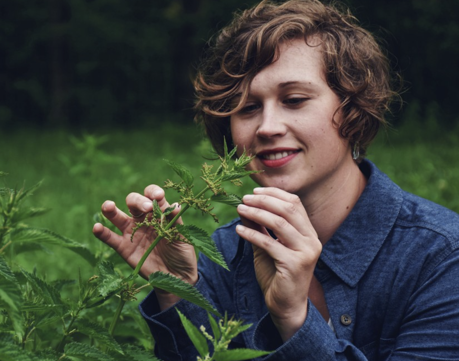 Herbalist Amanda Crooke inspecting a herb