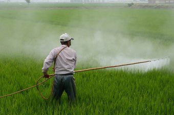 Blame Roundup For Celiac  And Gluten Intolerance Symptoms