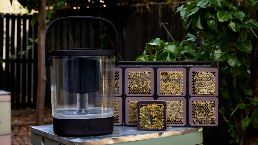 Sustainability That Sells: How Profit and Purpose Come Together in the Hive