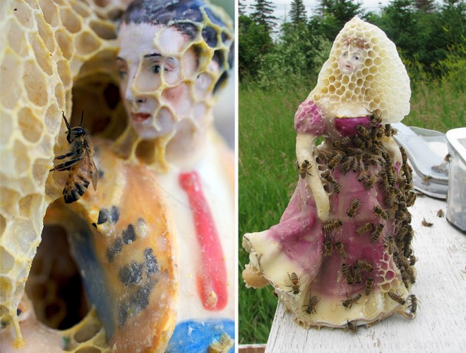 honeycomb bee art sculpture